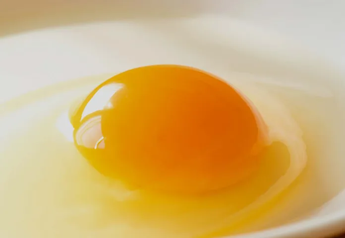 たまごのイメージ